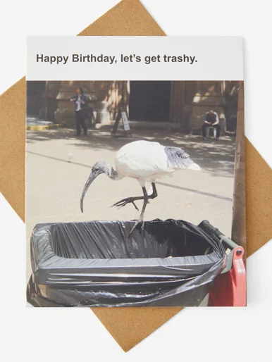 TYPO Thiệp - Funny Birthday Card