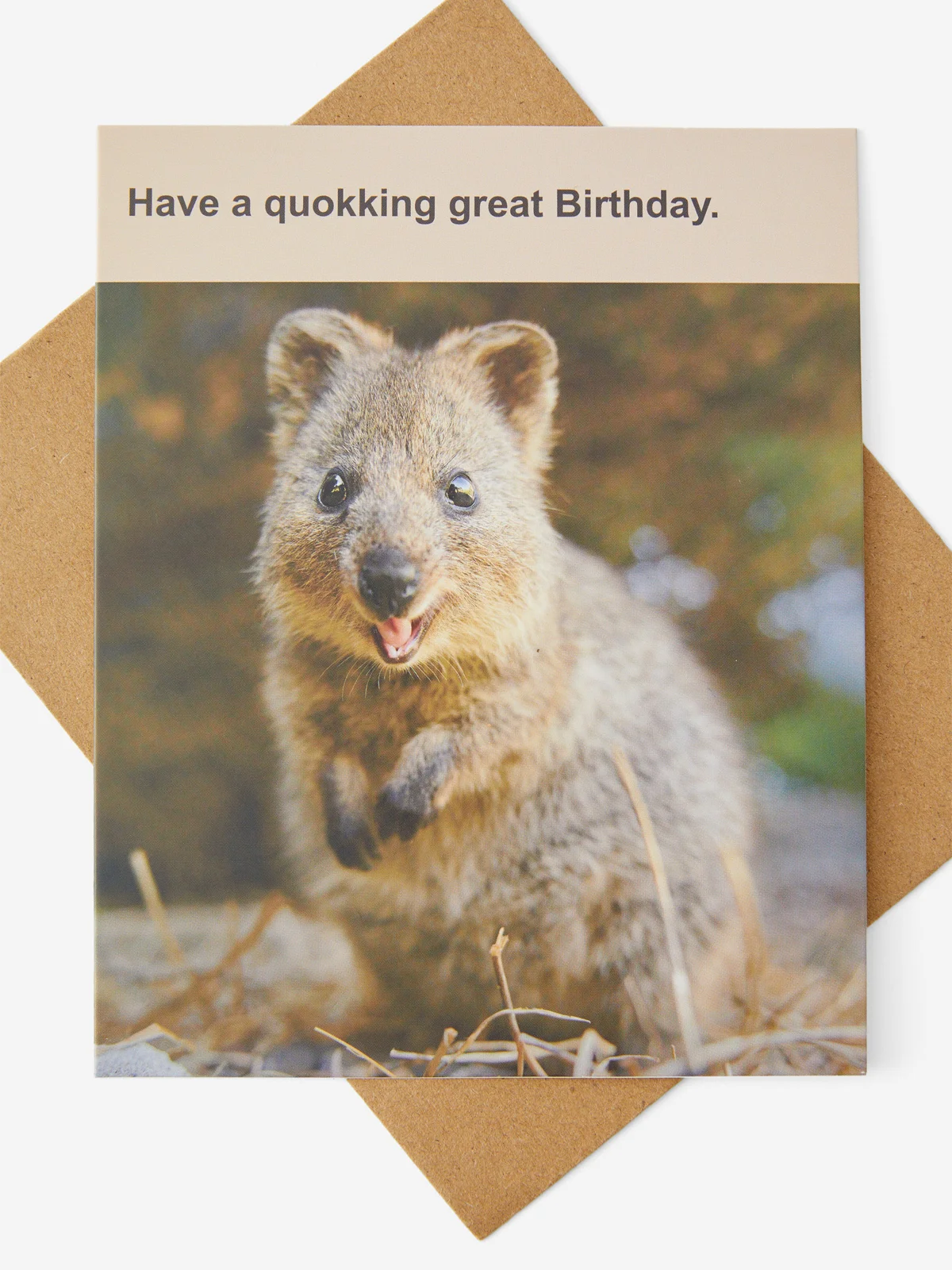 TYPO Thiệp - Funny Birthday Card