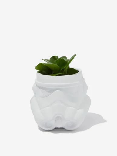 TYPO Chậu Cây-Collab Planter
