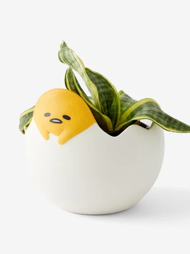 TYPO Chậu Cây - Collab Planter