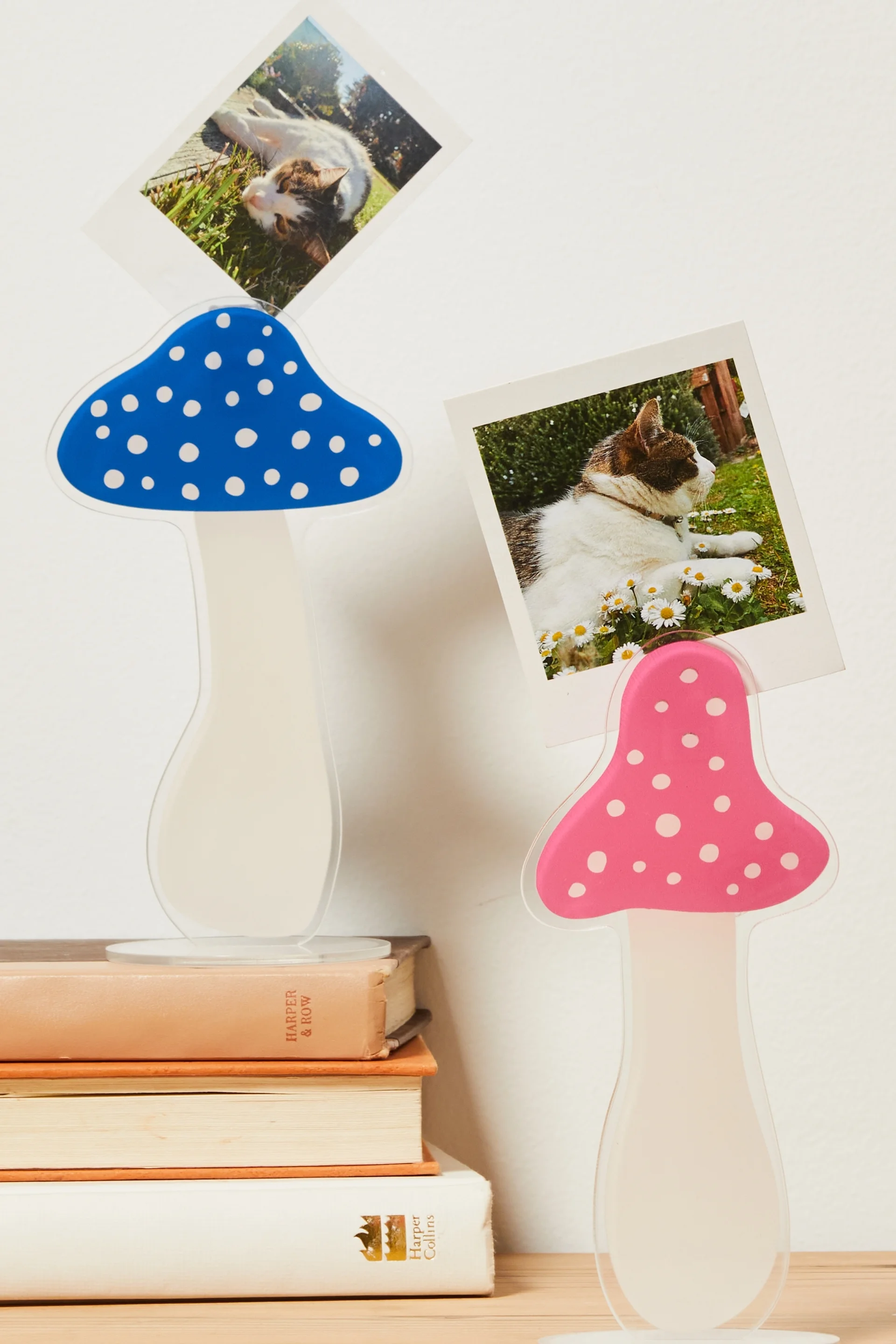 TYPO Bộ Giá Đỡ Thẻ Acrylic - Acrylic Card Holder 2 Pack