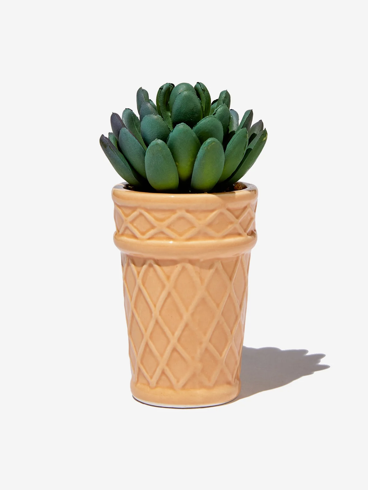 TYPO Chậu Cây Trang Trí-Tiny Shaped Planter