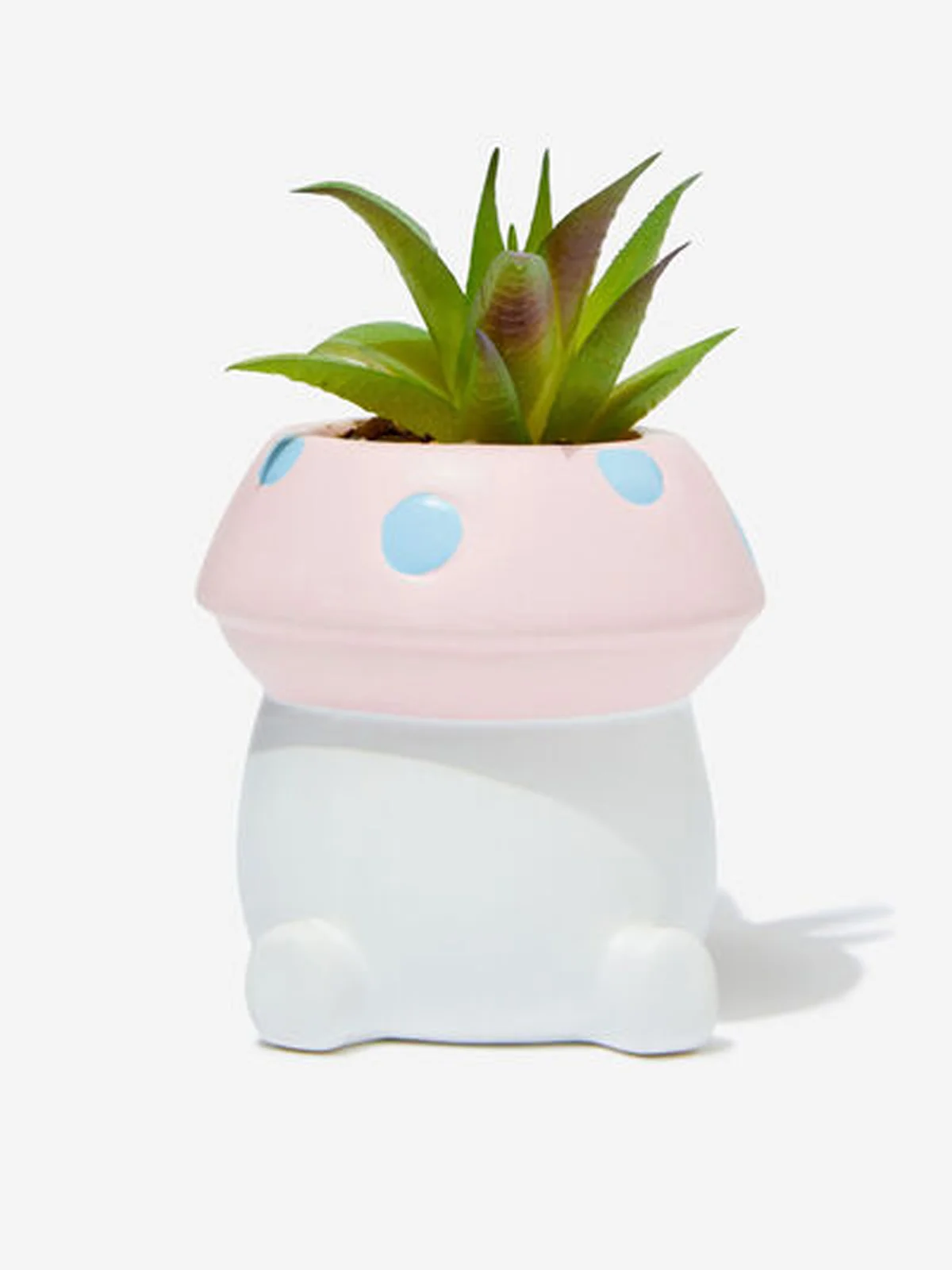 SITTING MUSHROOM