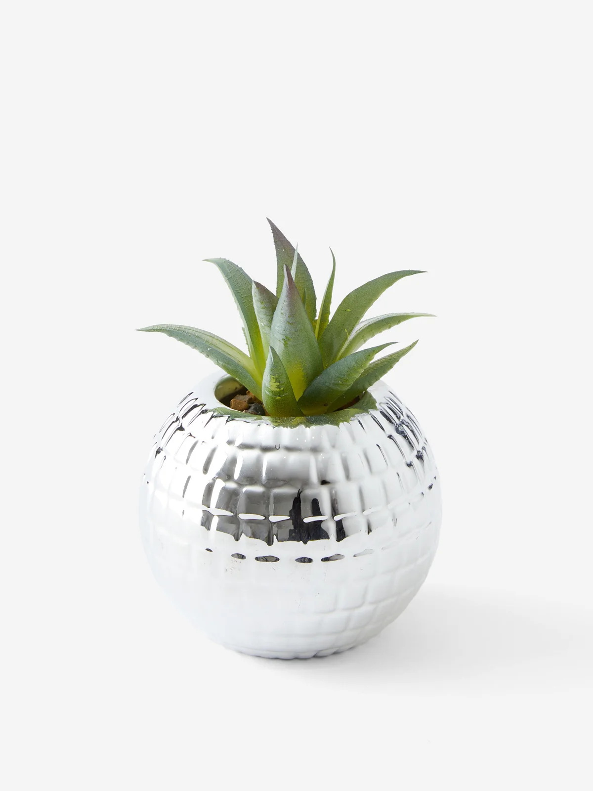 TYPO Chậu Cây Trang Trí - Tiny Shaped Planter