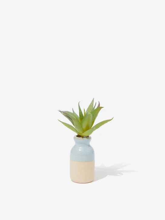 TYPO Chậu Trồng Cây Mini-Mini Shaped Planter