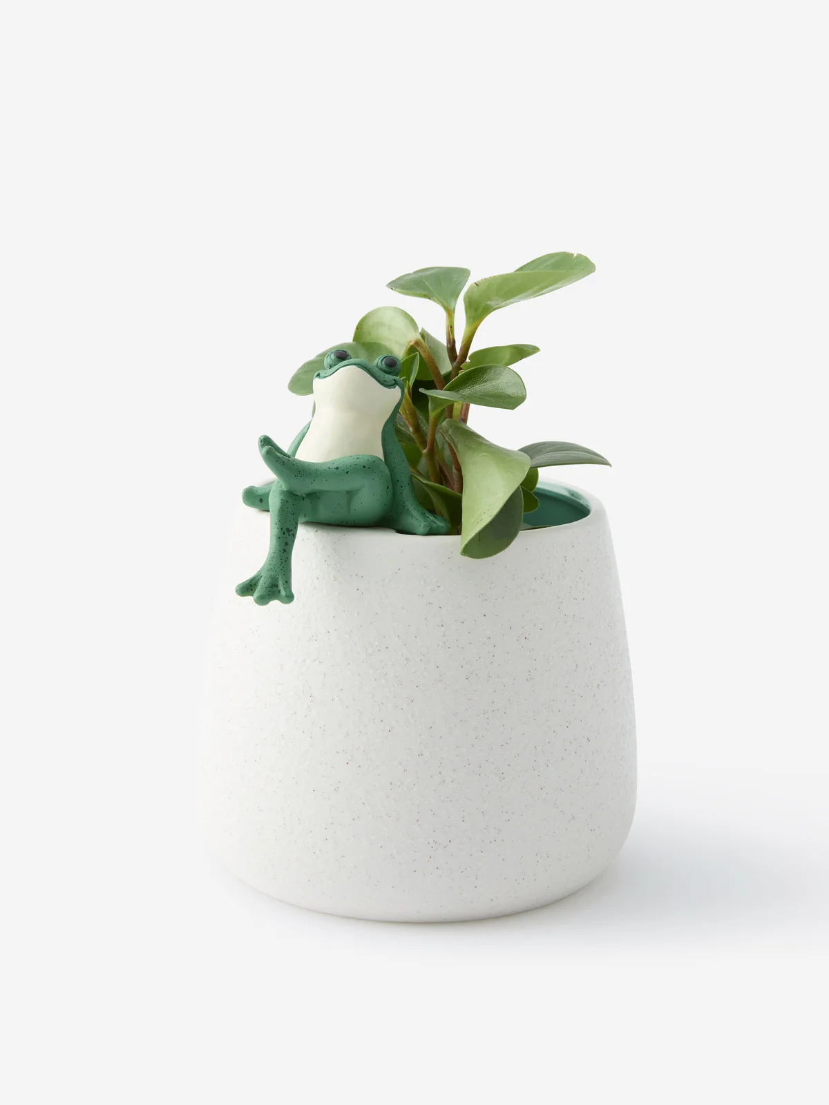 TYPO Chậu Trồng Cây Trang Trí - Hanging Around Planter