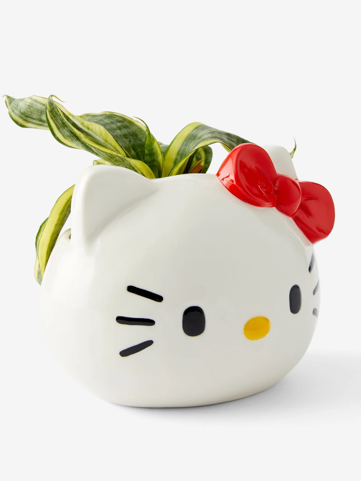 TYPO Chậu Cây Trang Trí - Collab Midi Planter