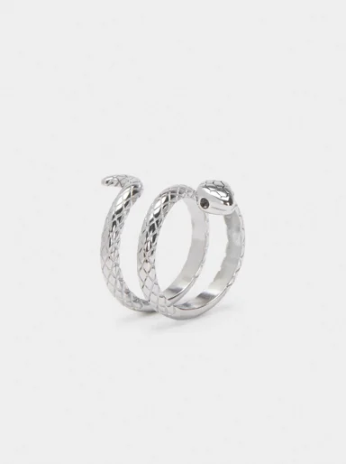 PARFOIS Nhẫn Stainless Steel Silver