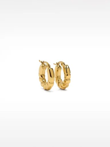 PARFOIS Hoa Tai Nữ Stainless Steel Golden