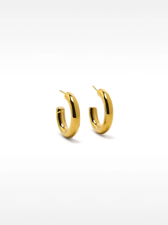 PARFOIS Hoa Tai Nữ Stainless Steel Golden