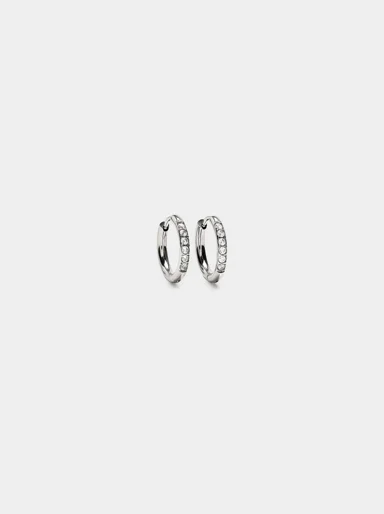 PARFOIS Hoa Tai Nữ Stainless Steel Fine