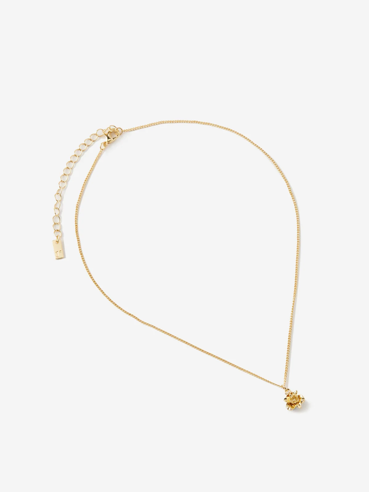 COTTON ON RUBI Dây Chuyền Nữ - Pendant Necklace