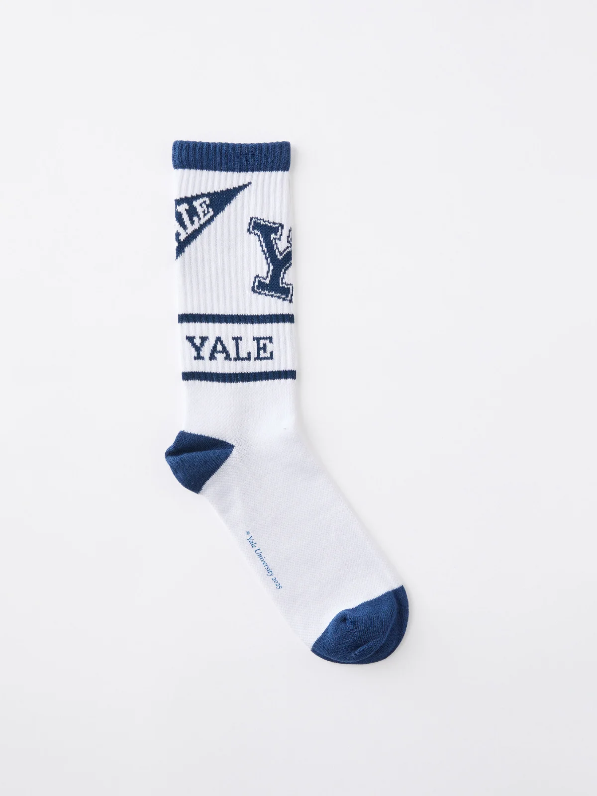 COTTON ON RUBI Vớ Ngắn Nữ-License Premium Crew Sock