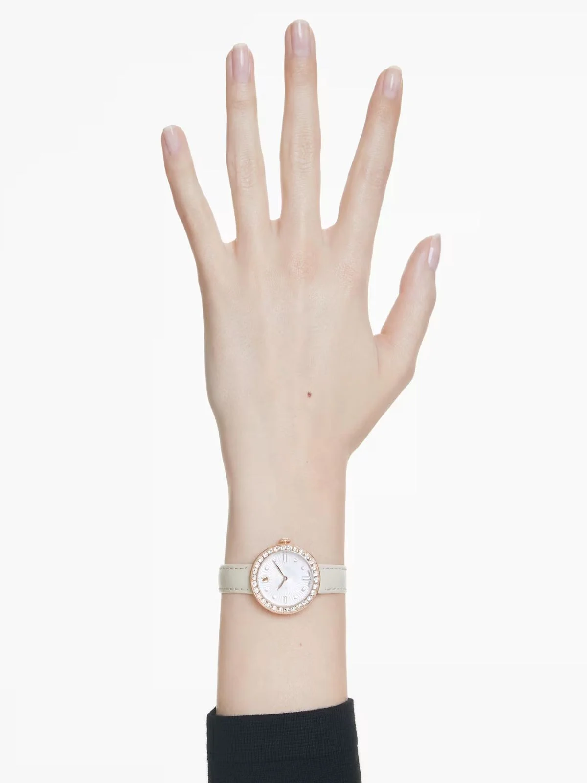 SWAROVSKI Đồng Hồ Certa: Ls Ros//Pro
