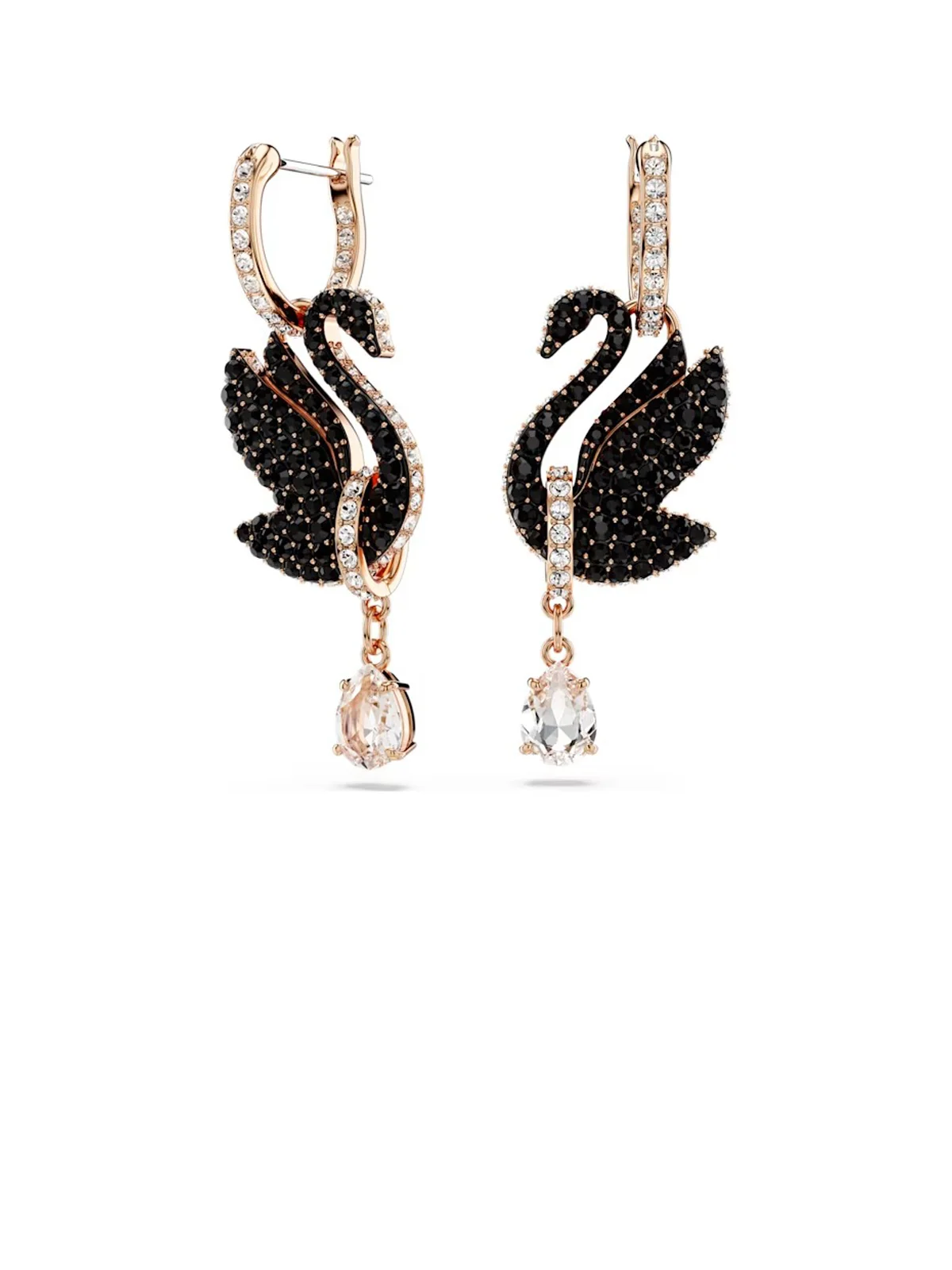 SWAROVSKI Bông Tai Swan: Pe Rc06/Ros