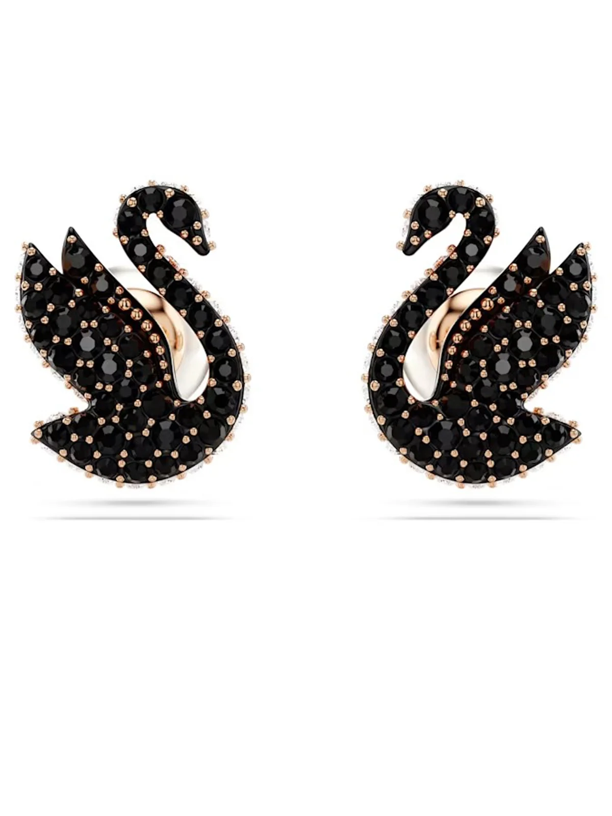 Swarovski - Bông Tai Swan: Pe Prl Rc06/Ros