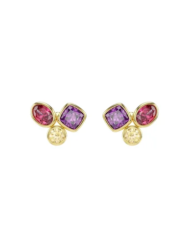 SWAROVSKI Bông Tai Imber:Pe Stud Mul/Gos